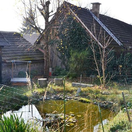 Ferienwohnung Blockheide Гмюнд Экстерьер фото